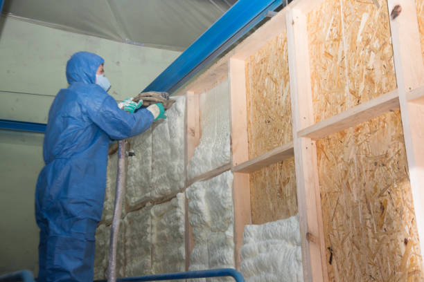 Best Local Insulation Services  in Shoreacres, TX