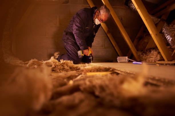 Best Affordable Insulation Services  in Shoreacres, TX